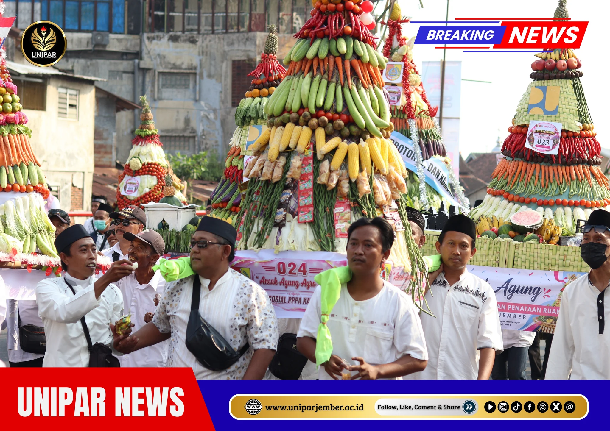 Kirab Pawai Budaya Ancak Agung Jember, UNIPAR Jember Turut Meriahkan Tradisi Syukur dan Persaudaraan 2026